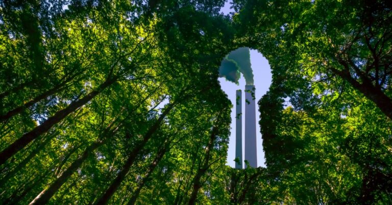 greenwashing, inteligência artificial, sustentabilidade, relatório, ESG