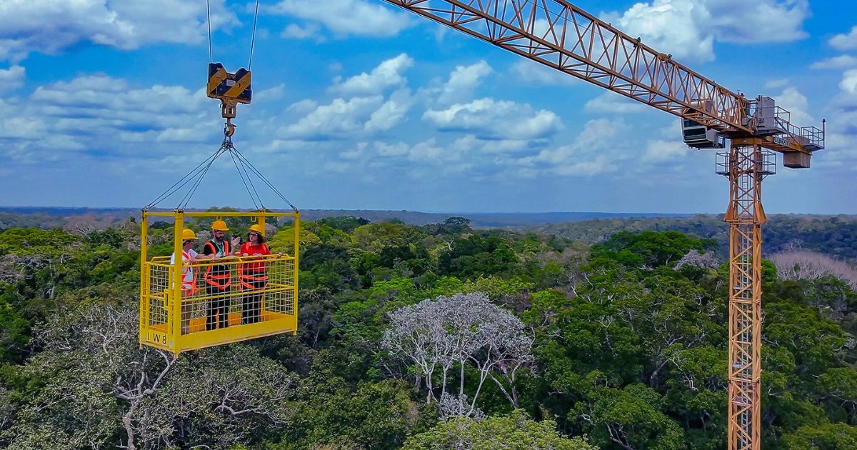 AmazonFACE, MCTI, G20